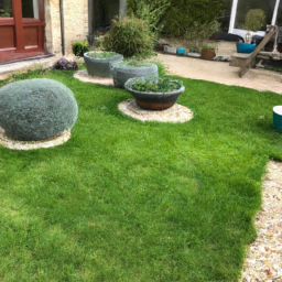 Techniques de taille pour maintenir un jardin esthétique et en bonne santé Franconville